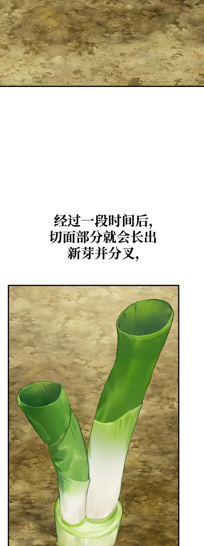 [第41话] 会成长的49