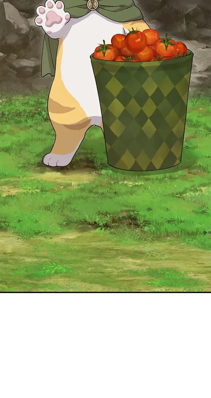 [第17话] 开始拍卖了喵！94