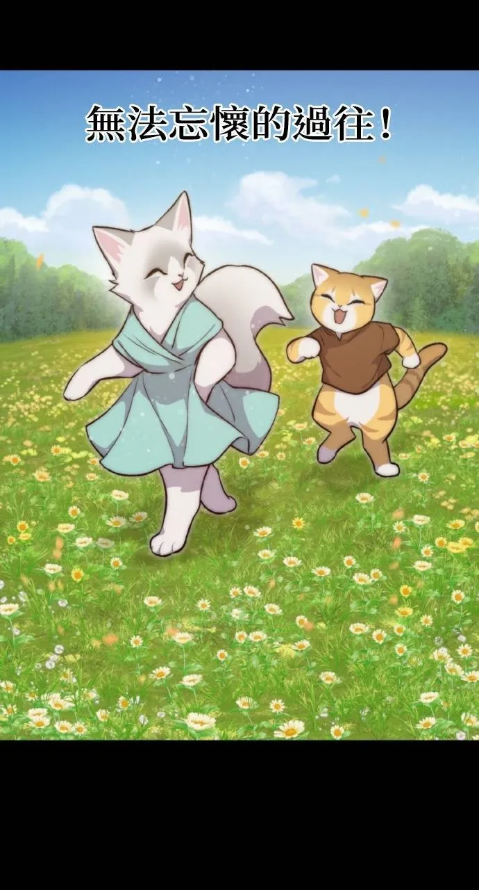 第11话 猫咪流浪商人泰奥84
