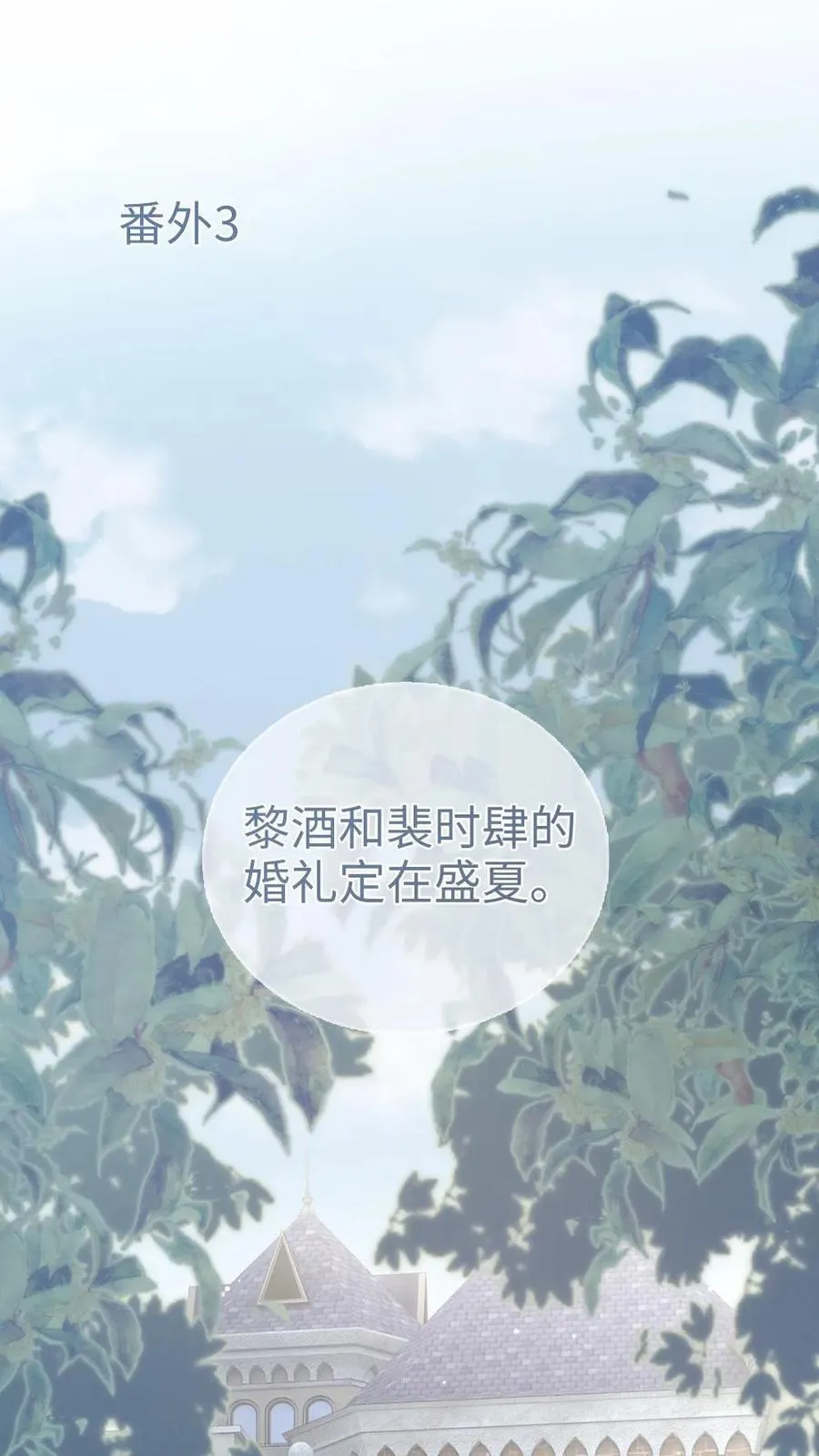 第203话 番外3 婚礼1