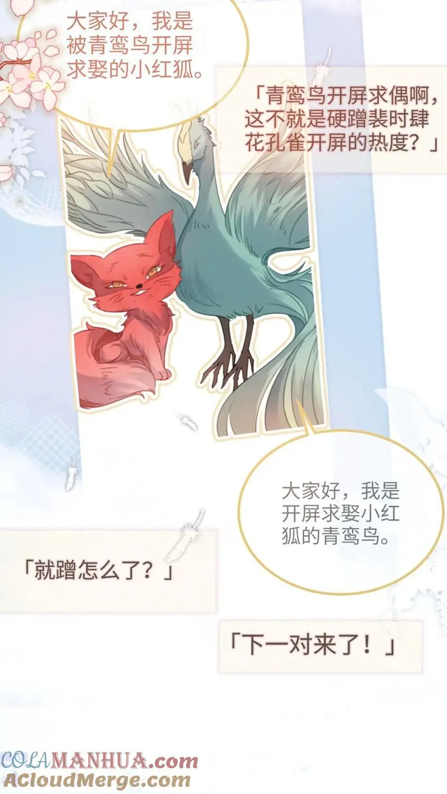 第123话 青鸾鸟x红狐狸4