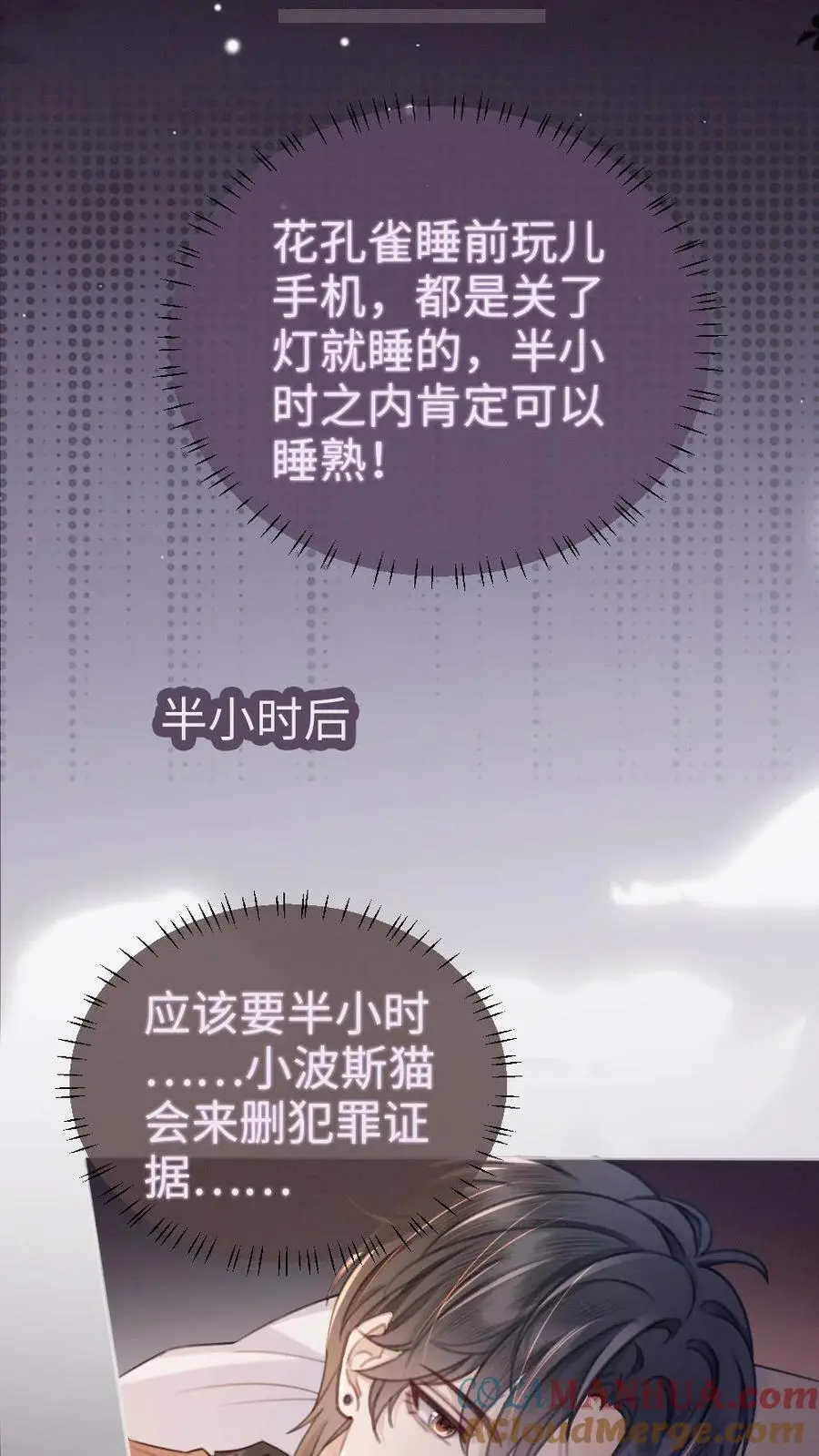 第66话 花孔雀的小把戏24