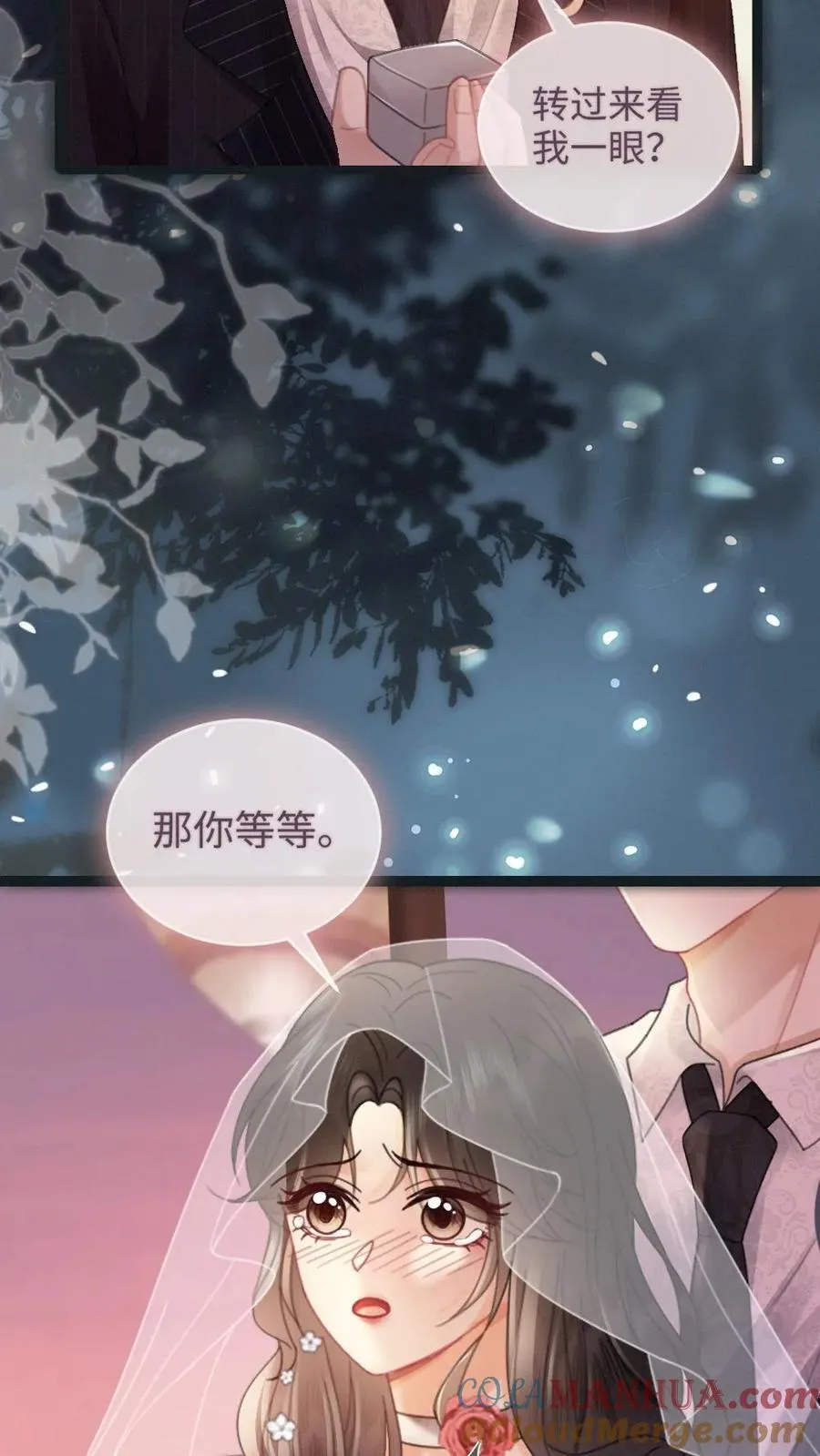 第199话 求婚仪式14
