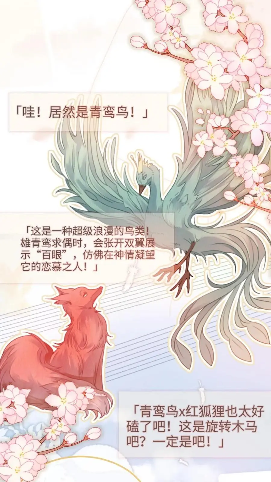 第123话 青鸾鸟x红狐狸3