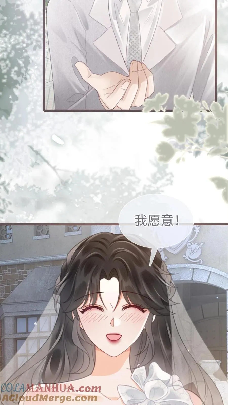 第203话 番外3 婚礼4