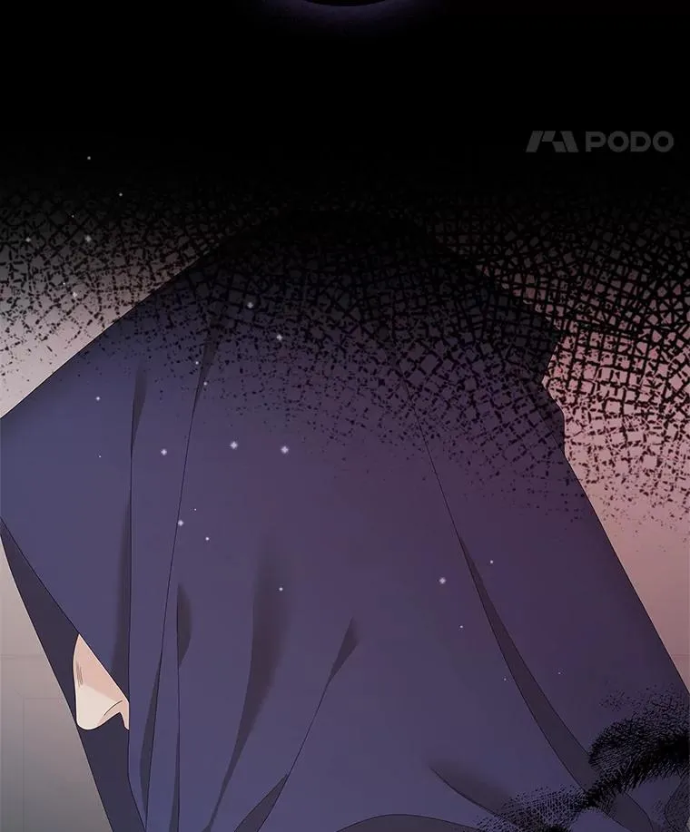 36.琳泰拉的委托106
