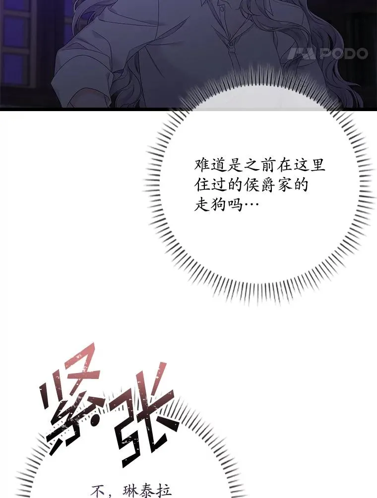 15.西琳克丝的身世74