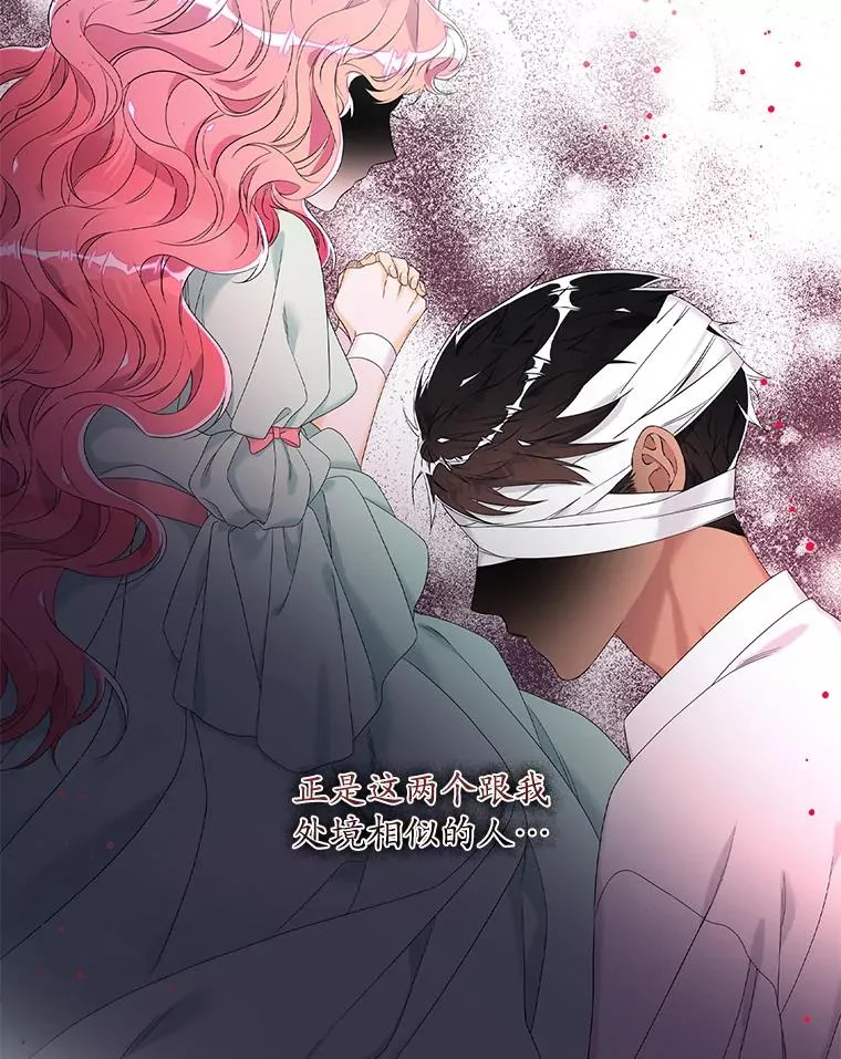15.西琳克丝的身世45