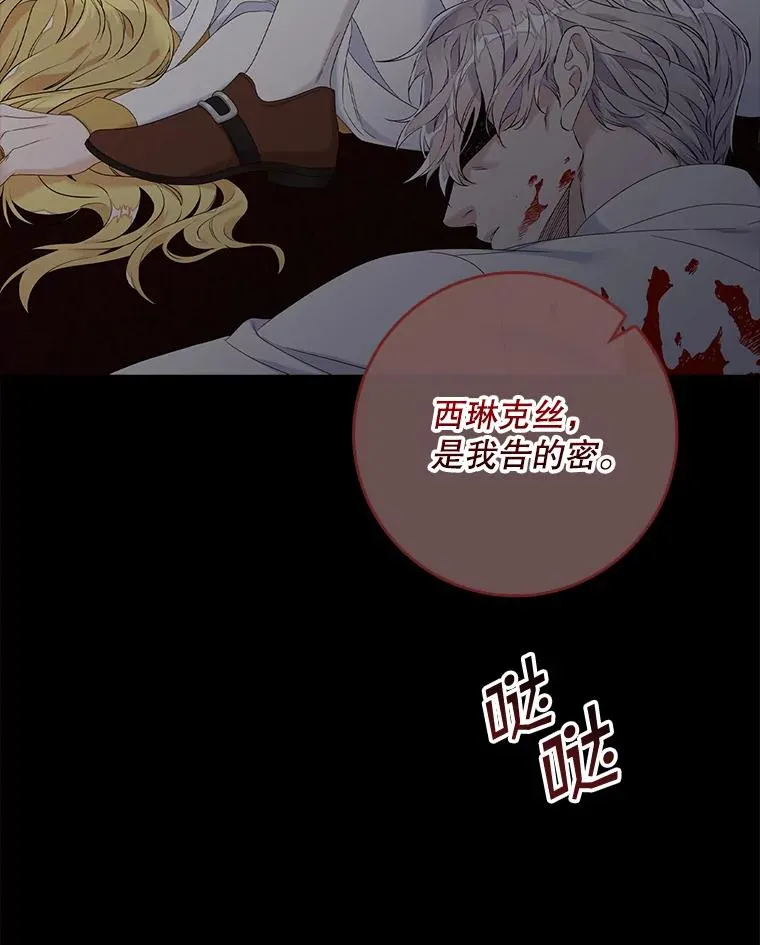 15.西琳克丝的身世18