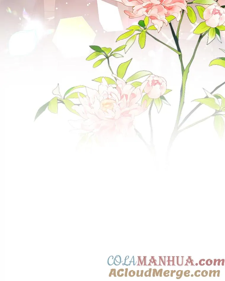 33.帕滋的去处108