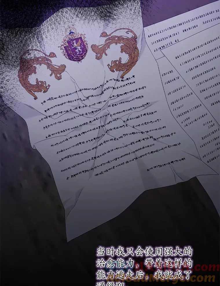 15.西琳克丝的身世52