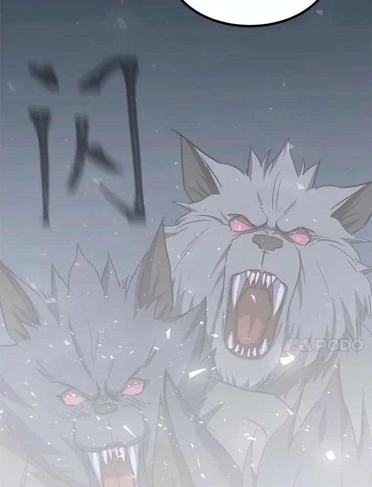 38.狼人141