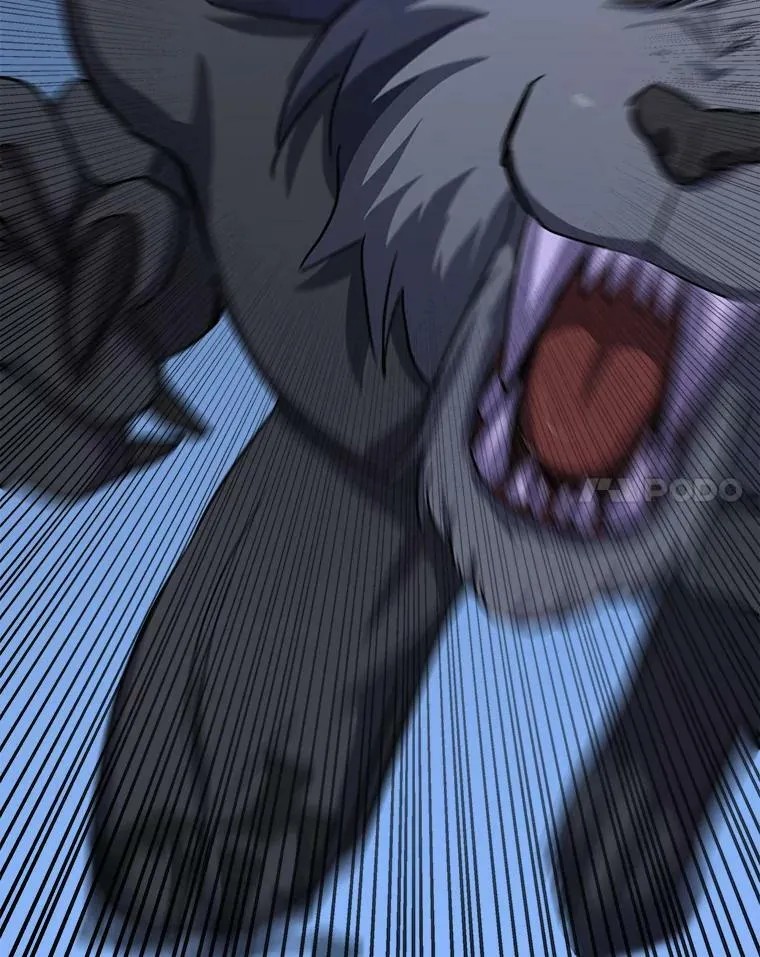 38.狼人69