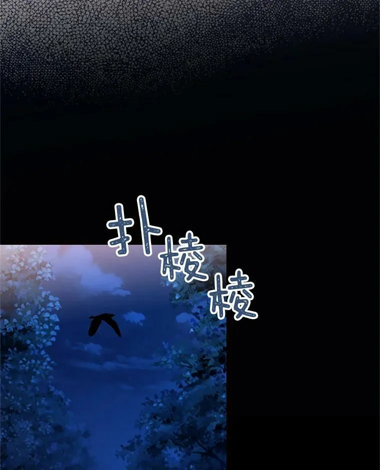 11.思念68