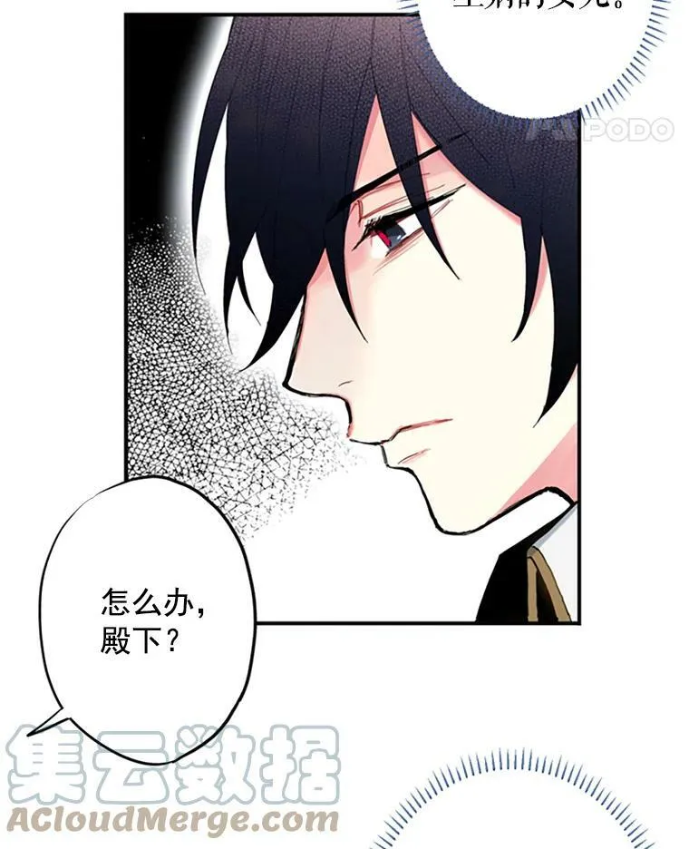 13.间谍60