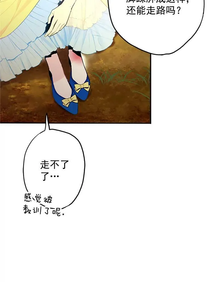 15.格雷西47