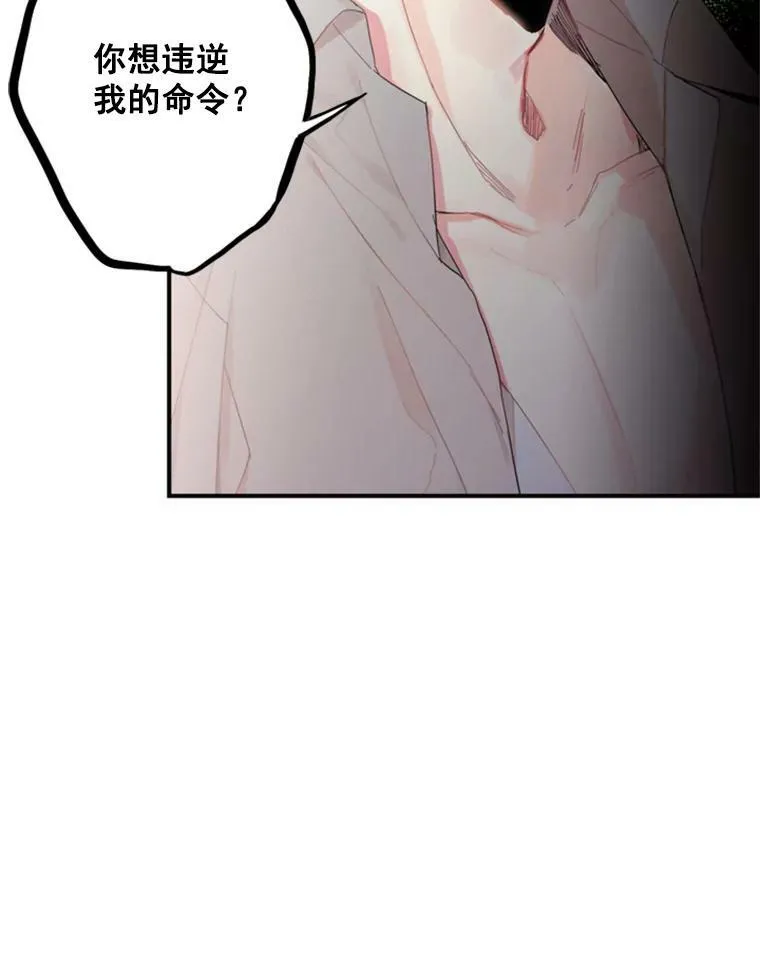 16.女爵79