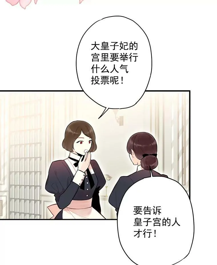 55.人气投票2