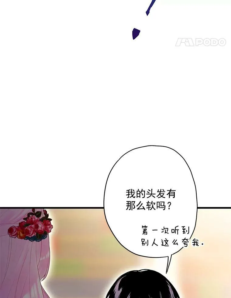 56.招蜂引蝶17