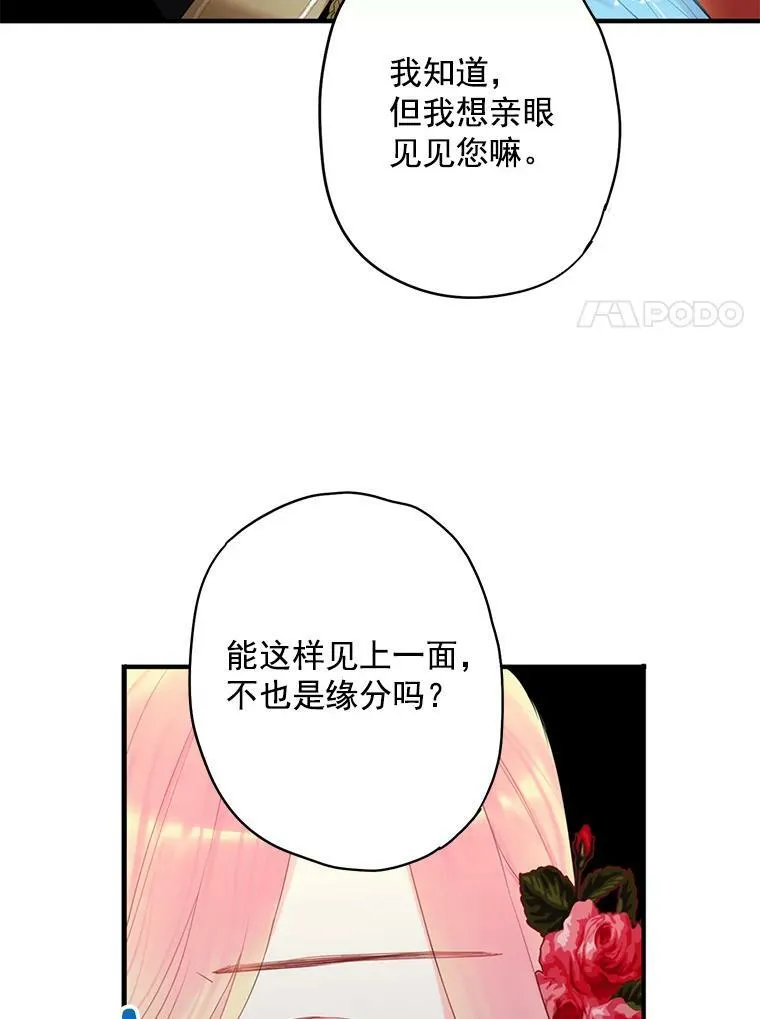 56.招蜂引蝶34