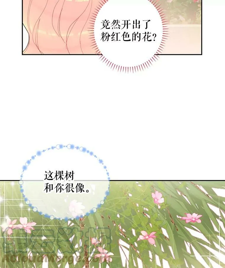 14.狩猎18