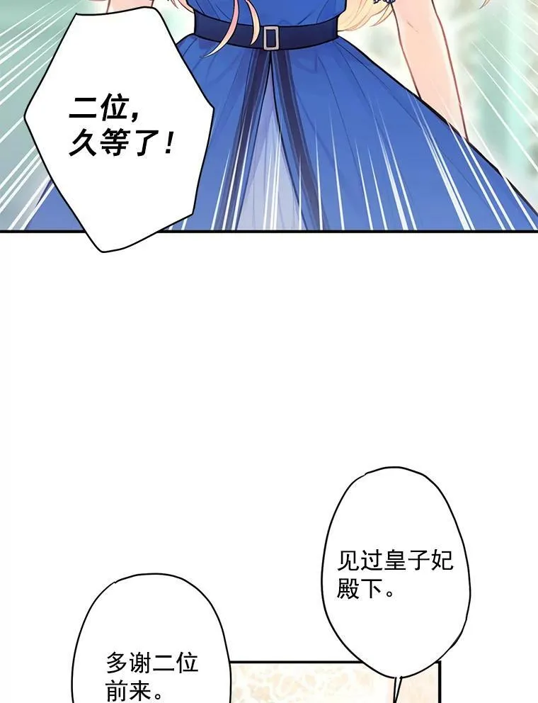 52.修改法案49
