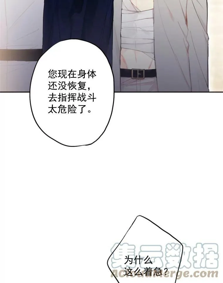 16.女爵75