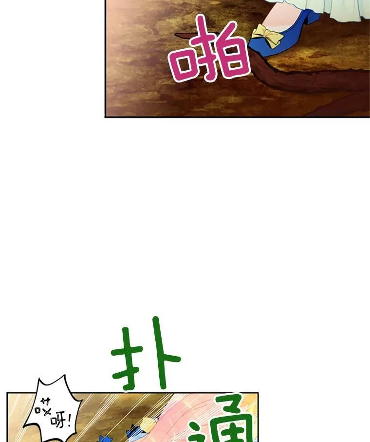 15.格雷西32