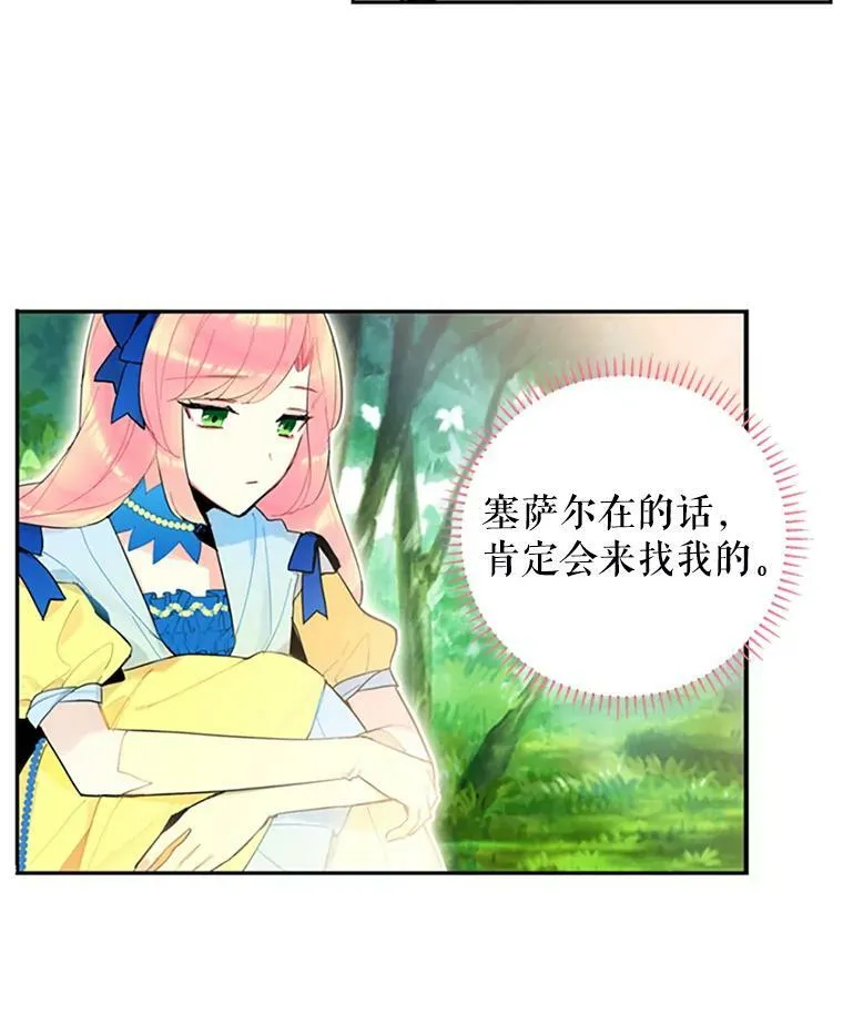 15.格雷西37