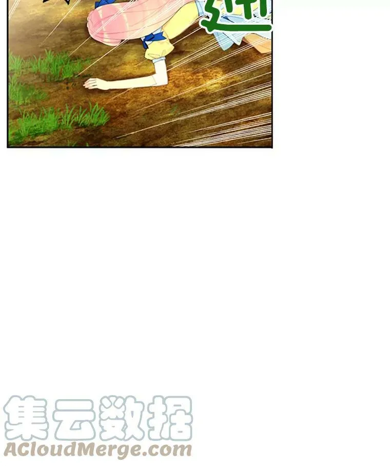 15.格雷西33
