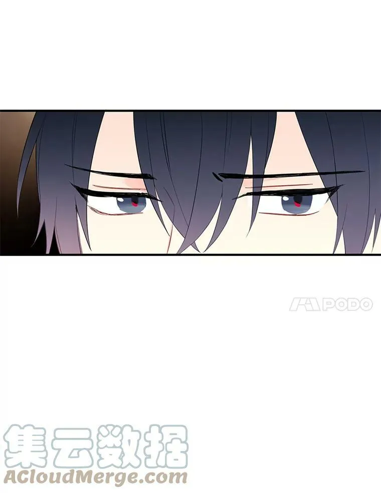 59.布林吉克24