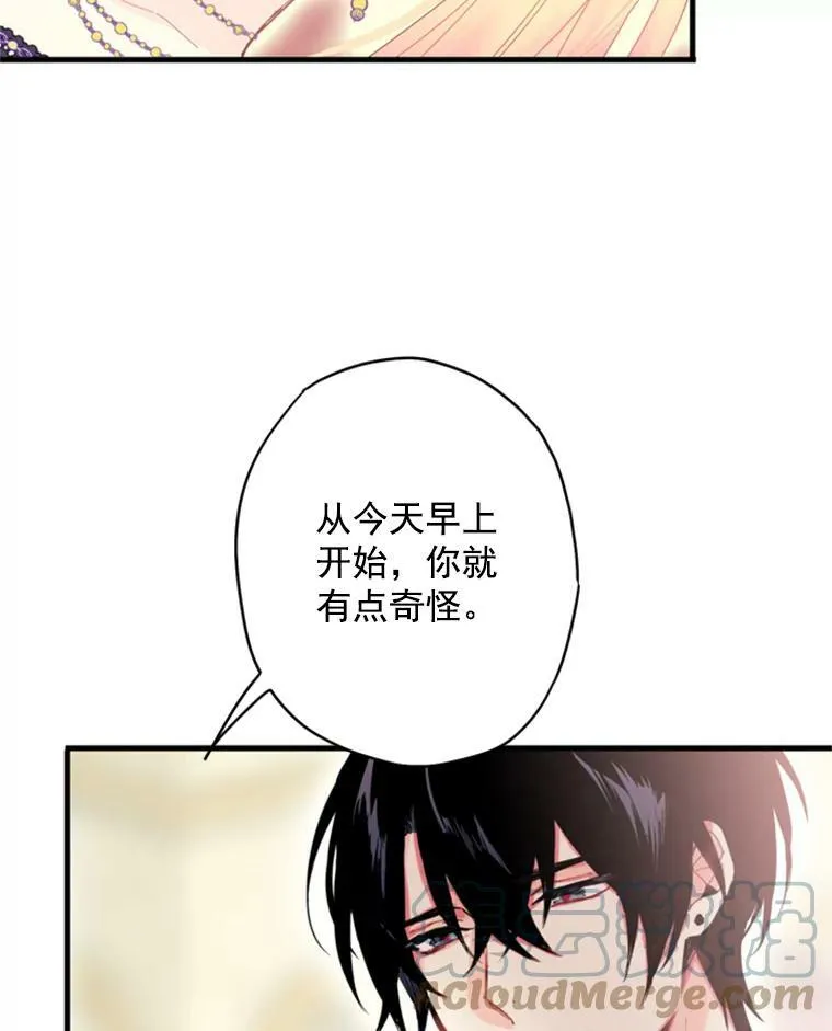 37.信任12