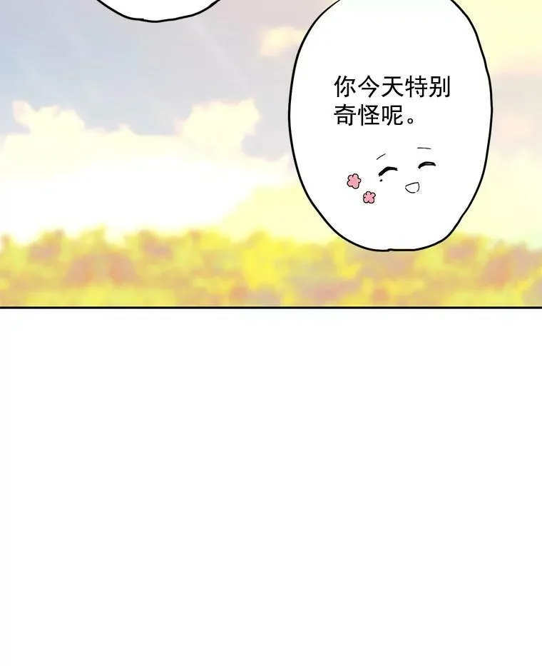 16.女爵55