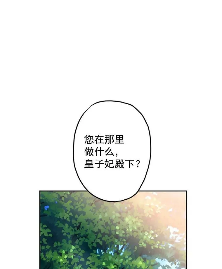 15.格雷西40