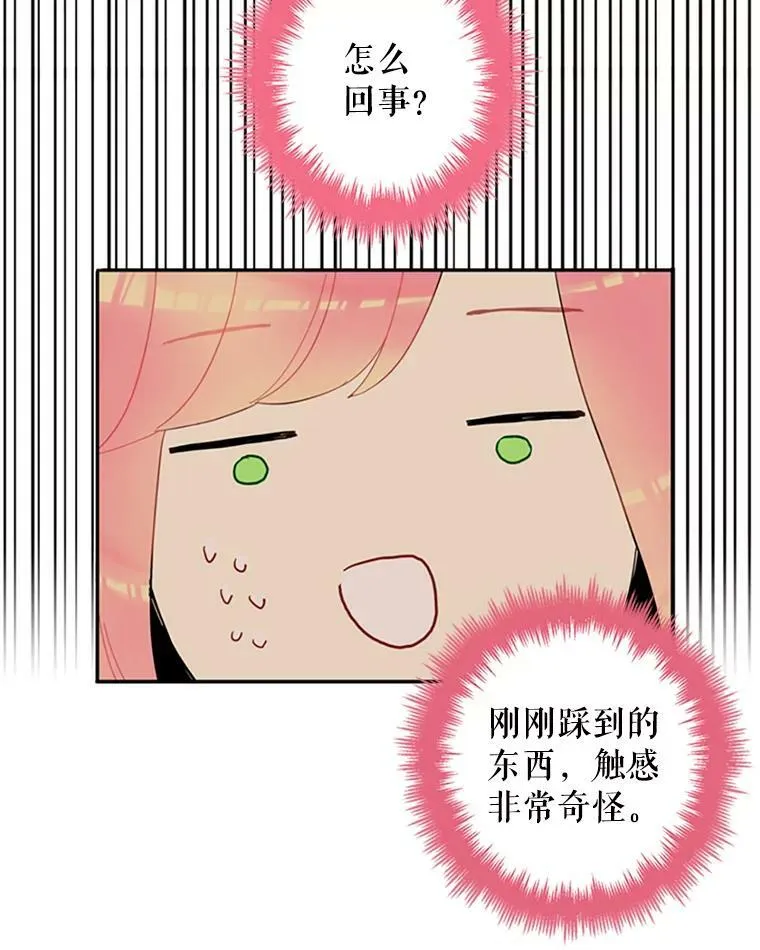 15.格雷西26
