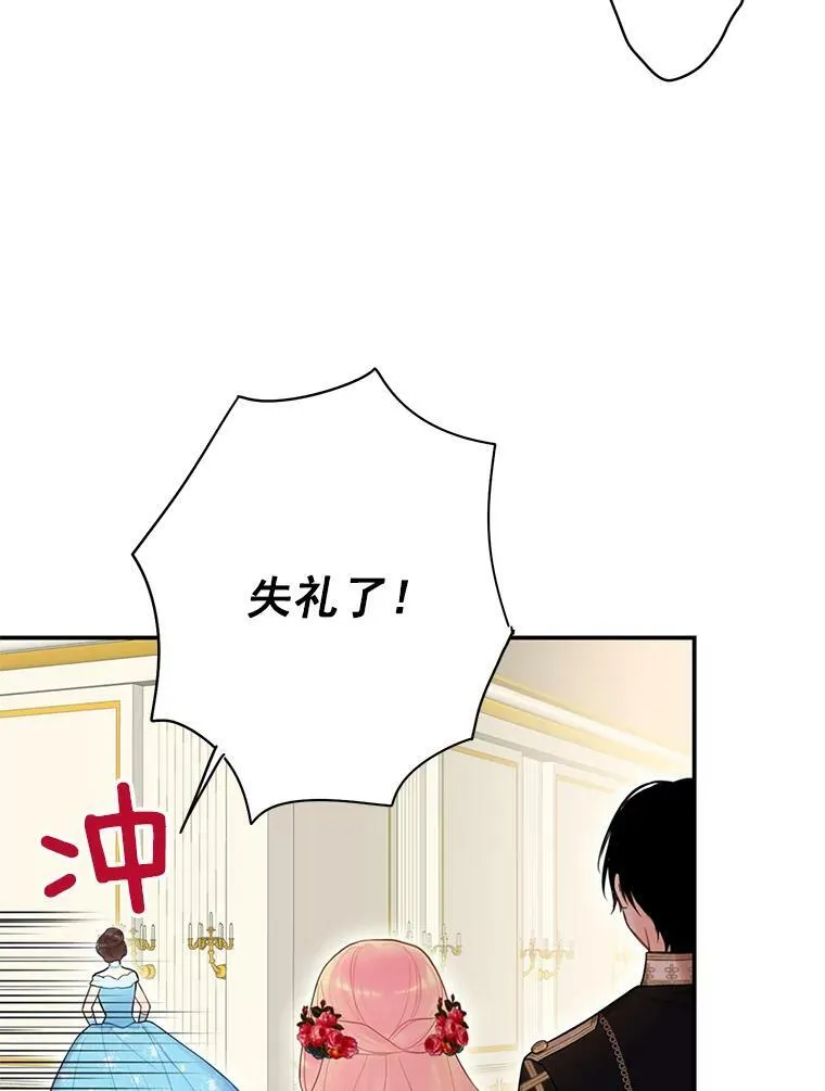 56.招蜂引蝶46