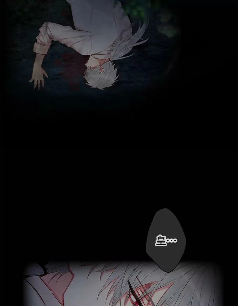 108.毒箭17