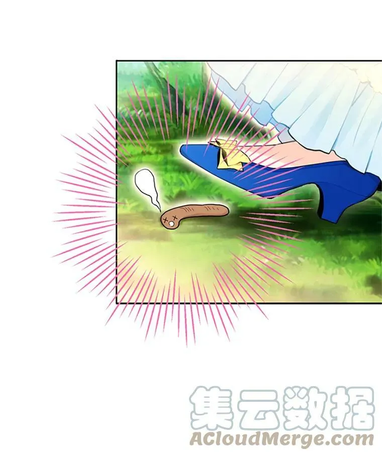 15.格雷西27