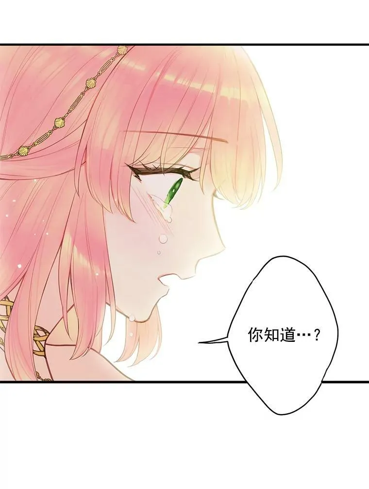 46.遇险8
