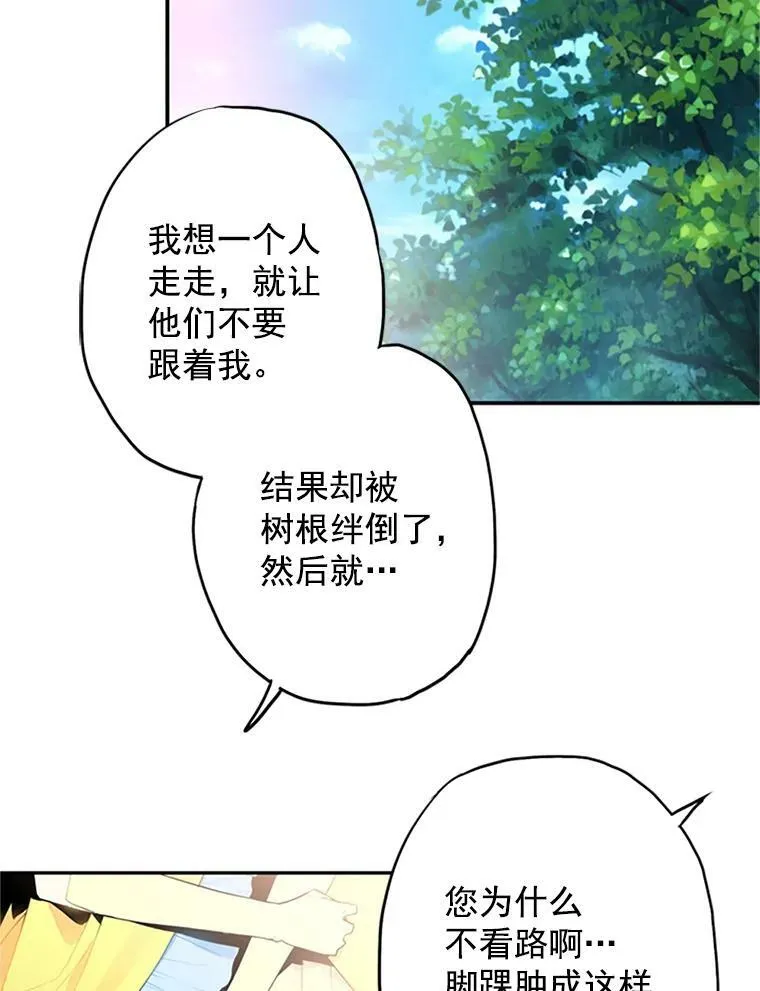 15.格雷西46