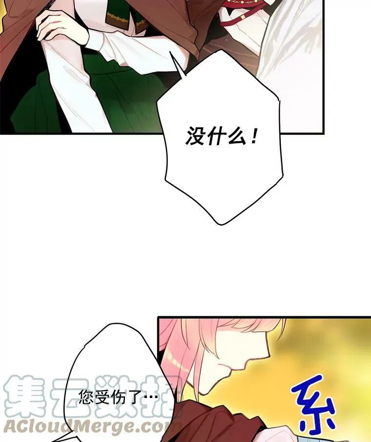 47.寻找解药72