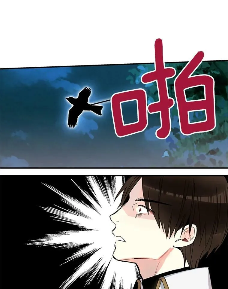 13.间谍50