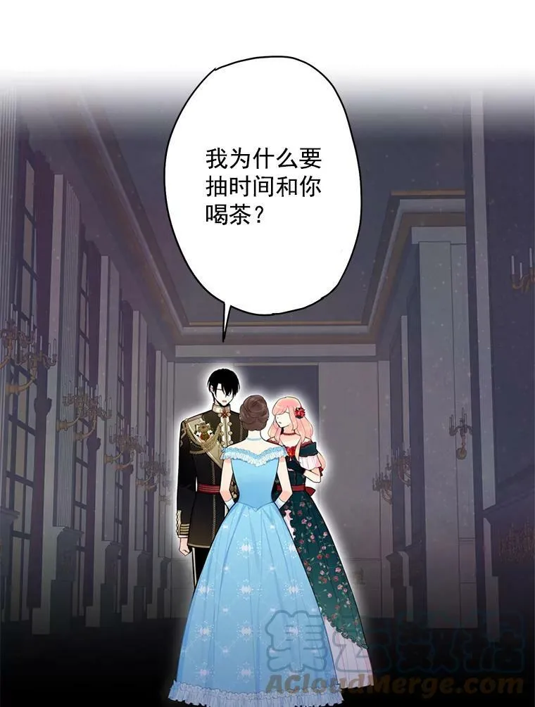 56.招蜂引蝶42