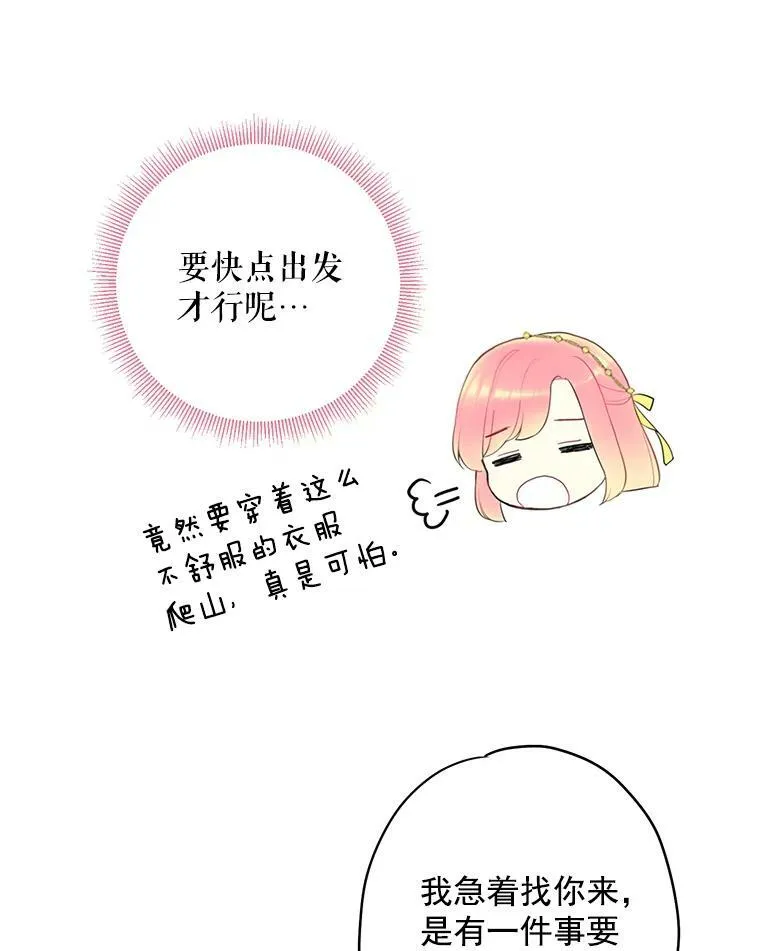 45.试探31