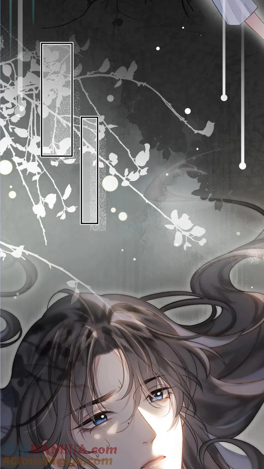 预告5