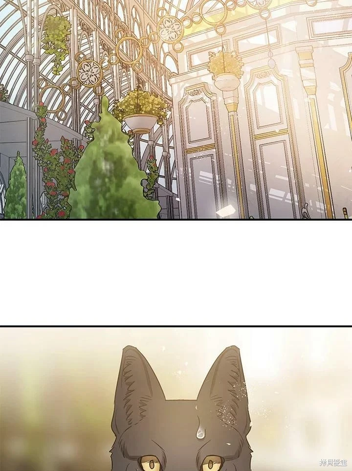 第51话121