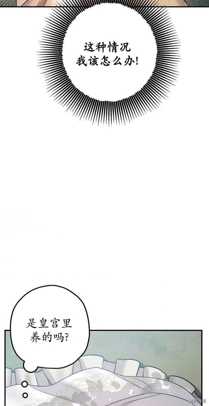 第36话47