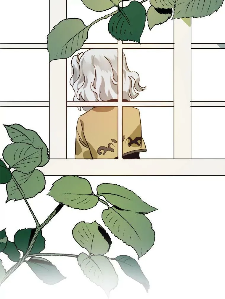 23.会说话的小鸟22