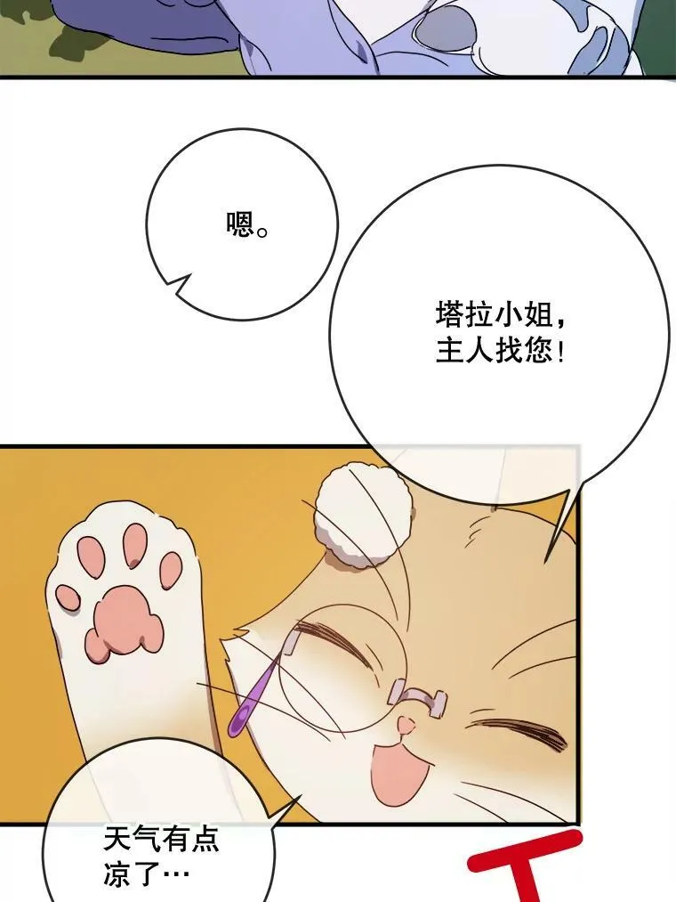 51.塔拉的魔力101