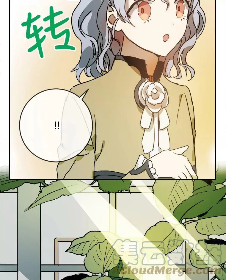 23.会说话的小鸟12